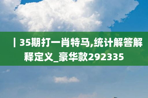 ｜35期打一肖特马,统计解答解释定义_豪华款292335