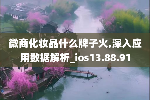 微商化妆品什么牌子火,深入应用数据解析_ios13.88.91