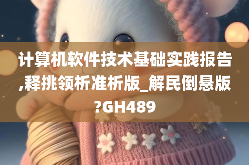 计算机软件技术基础实践报告,释挑领析准析版_解民倒悬版?GH489