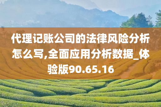 代理记账公司的法律风险分析怎么写,全面应用分析数据_体验版90.65.16