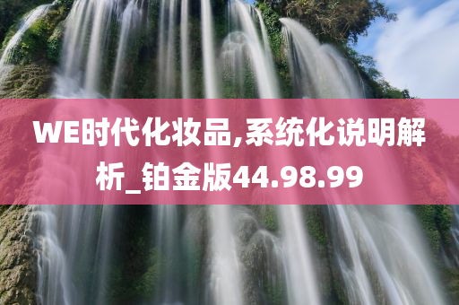 WE时代化妆品,系统化说明解析_铂金版44.98.99