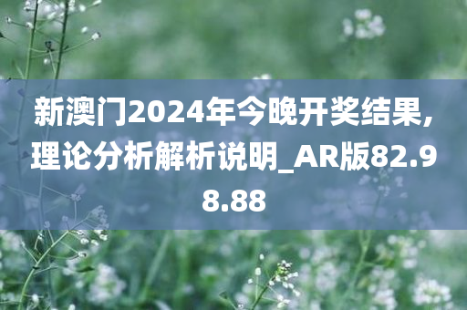 新澳门2024年今晚开奖结果,理论分析解析说明_AR版82.98.88