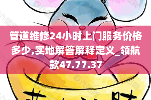 管道维修24小时上门服务价格多少,实地解答解释定义_领航款47.77.37