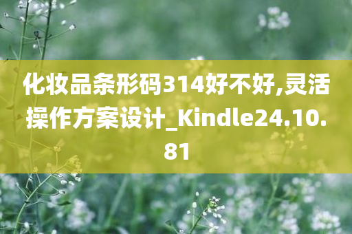 化妆品条形码314好不好,灵活操作方案设计_Kindle24.10.81