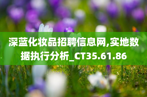 深蓝化妆品招聘信息网,实地数据执行分析_CT35.61.86