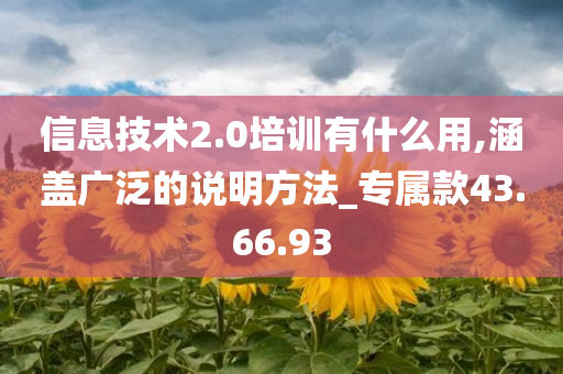 信息技术2.0培训有什么用,涵盖广泛的说明方法_专属款43.66.93