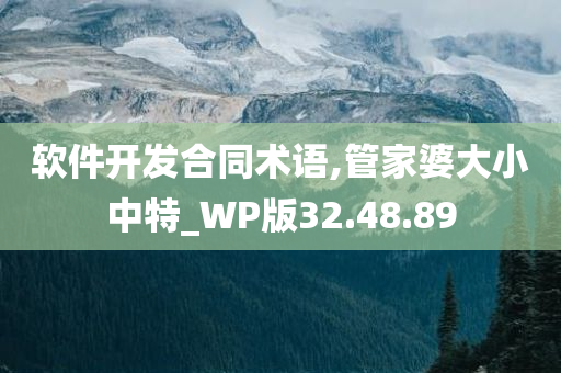 软件开发合同术语,管家婆大小中特_WP版32.48.89