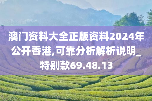 澳门资料大全正版资料2024年公开香港,可靠分析解析说明_特别款69.48.13