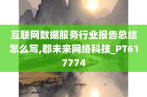 互联网数据服务行业报告总结怎么写,郡未来网络科技_PT617774