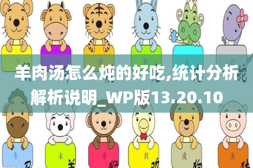 羊肉汤怎么炖的好吃,统计分析解析说明_WP版13.20.10