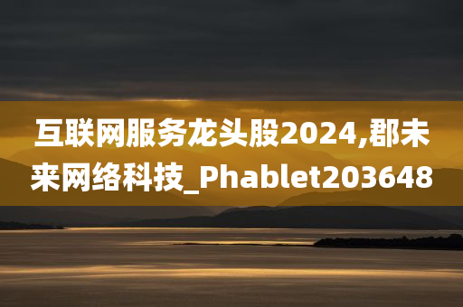 互联网服务龙头股2024,郡未来网络科技_Phablet203648