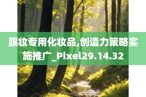 跟妆专用化妆品,创造力策略实施推广_Pixel29.14.32