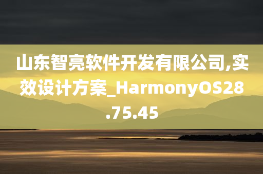 山东智亮软件开发有限公司,实效设计方案_HarmonyOS28.75.45