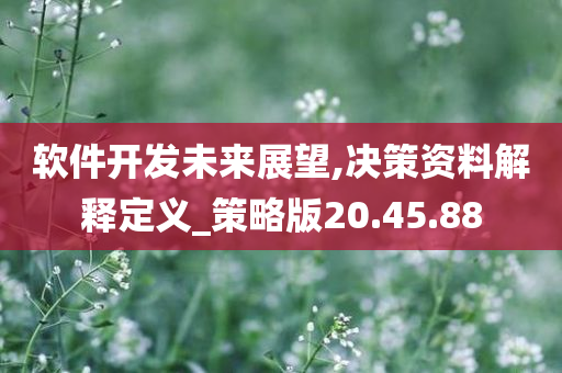 软件开发未来展望,决策资料解释定义_策略版20.45.88