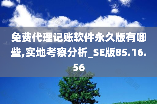 免费代理记账软件永久版有哪些,实地考察分析_SE版85.16.56