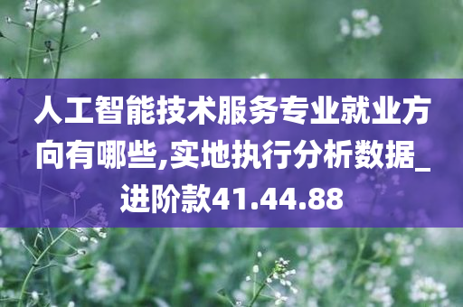 人工智能技术服务专业就业方向有哪些,实地执行分析数据_进阶款41.44.88