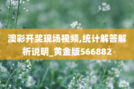 澳彩开奖现场视频,统计解答解析说明_黄金版566882