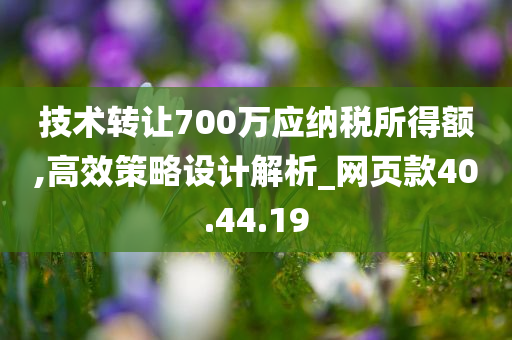 技术转让700万应纳税所得额,高效策略设计解析_网页款40.44.19