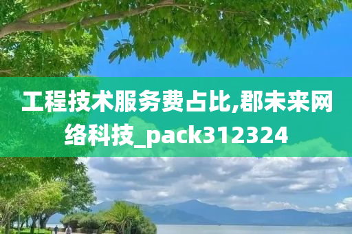 工程技术服务费占比,郡未来网络科技_pack312324