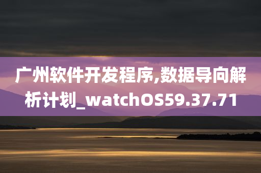 广州软件开发程序,数据导向解析计划_watchOS59.37.71