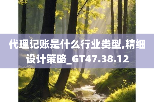 代理记账是什么行业类型,精细设计策略_GT47.38.12