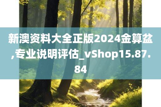 新澳资料大全正版2024金算盆,专业说明评估_vShop15.87.84