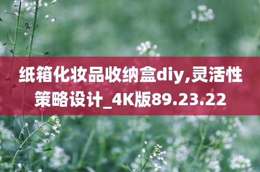 纸箱化妆品收纳盒diy,灵活性策略设计_4K版89.23.22