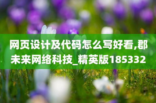 网页设计及代码怎么写好看,郡未来网络科技_精英版185332