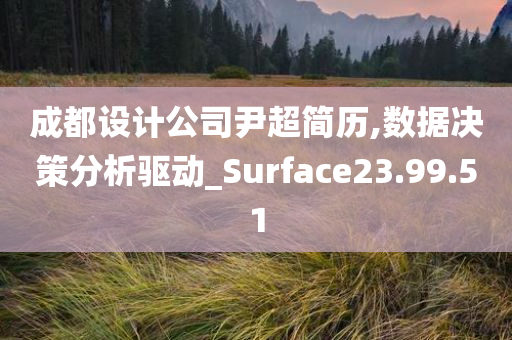 成都设计公司尹超简历,数据决策分析驱动_Surface23.99.51