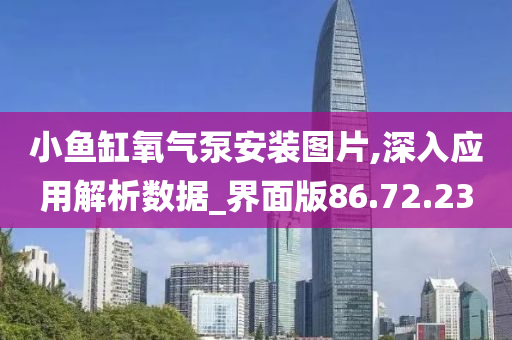 小鱼缸氧气泵安装图片,深入应用解析数据_界面版86.72.23