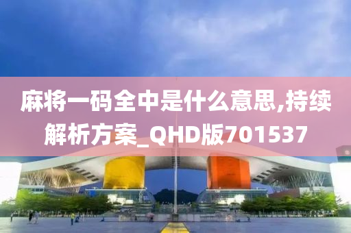 麻将一码全中是什么意思,持续解析方案_QHD版701537