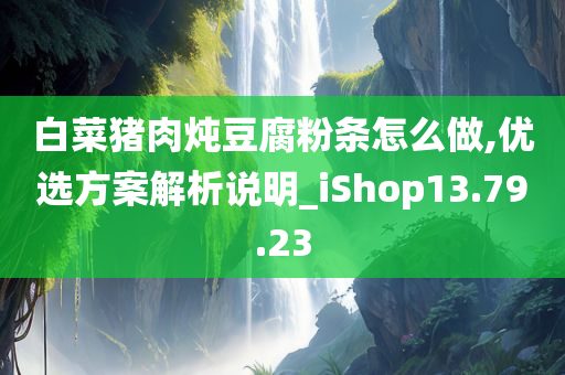 白菜猪肉炖豆腐粉条怎么做,优选方案解析说明_iShop13.79.23