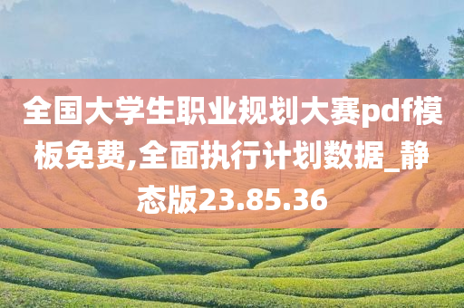 全国大学生职业规划大赛pdf模板免费,全面执行计划数据_静态版23.85.36