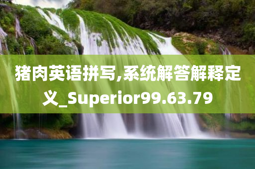 猪肉英语拼写,系统解答解释定义_Superior99.63.79