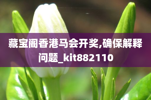 藏宝阁香港马会开奖,确保解释问题_kit882110