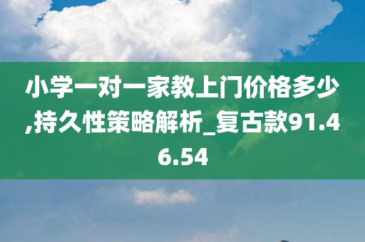 小学一对一家教上门价格多少,持久性策略解析_复古款91.46.54