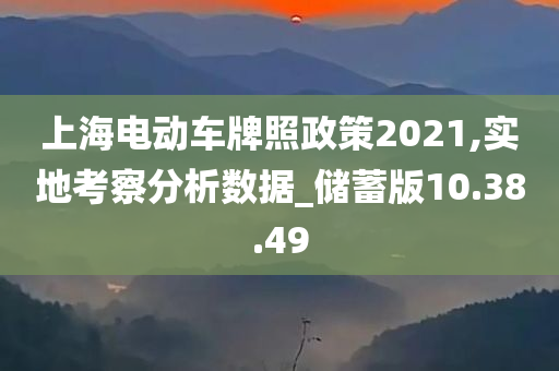 上海电动车牌照政策2021,实地考察分析数据_储蓄版10.38.49