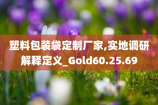 塑料包装袋定制厂家,实地调研解释定义_Gold60.25.69