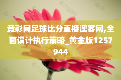 竞彩网足球比分直播澳客网,全面设计执行策略_黄金版1257944