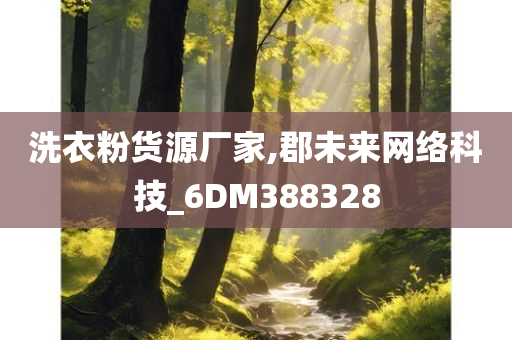 洗衣粉货源厂家,郡未来网络科技_6DM388328