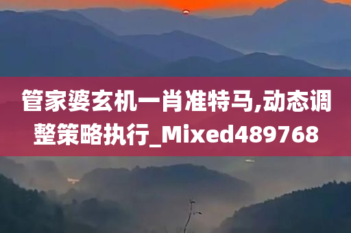 管家婆玄机一肖准特马,动态调整策略执行_Mixed489768