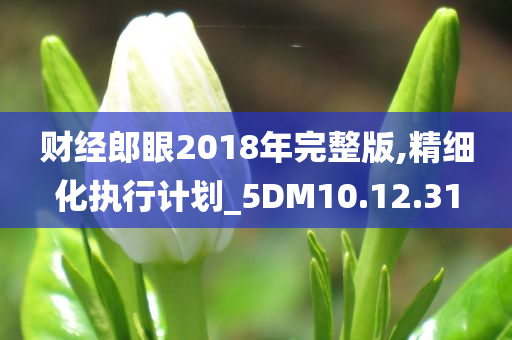 财经郎眼2018年完整版,精细化执行计划_5DM10.12.31