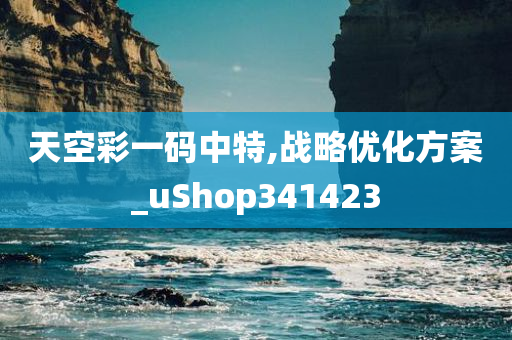 天空彩一码中特,战略优化方案_uShop341423