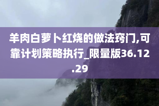 羊肉白萝卜红烧的做法窍门,可靠计划策略执行_限量版36.12.29