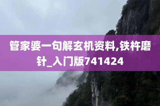 管家婆一句解玄机资料,铁杵磨针_入门版741424