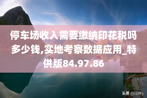 停车场收入需要缴纳印花税吗多少钱,实地考察数据应用_特供版84.97.86