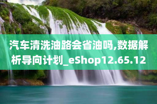 汽车清洗油路会省油吗,数据解析导向计划_eShop12.65.12