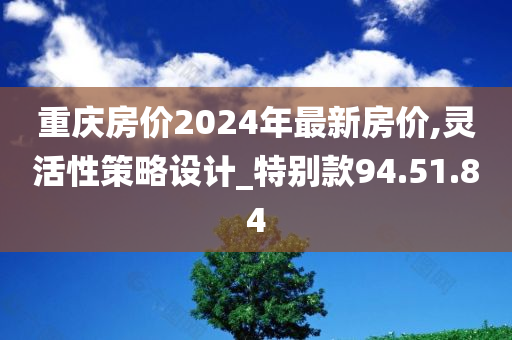 重庆房价2024年最新房价,灵活性策略设计_特别款94.51.84