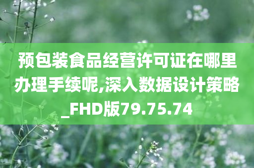 预包装食品经营许可证在哪里办理手续呢,深入数据设计策略_FHD版79.75.74