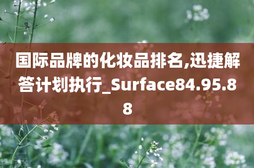 国际品牌的化妆品排名,迅捷解答计划执行_Surface84.95.88